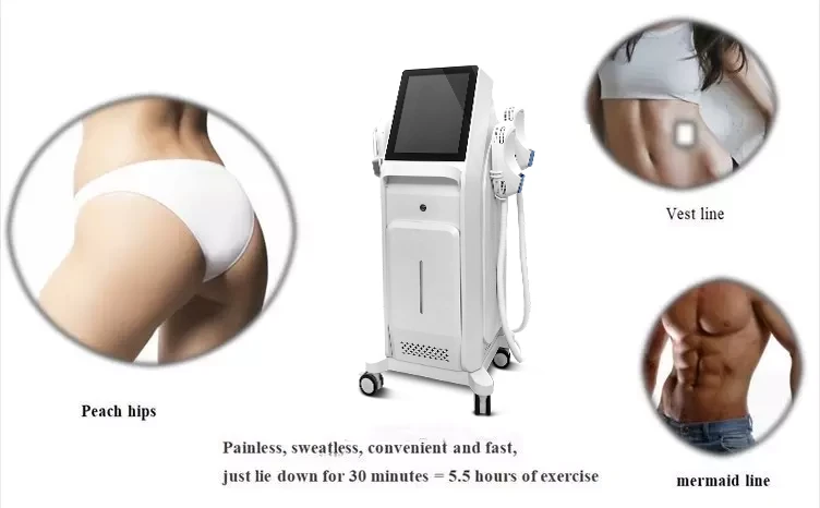 Emsculp EMS RF Body Sculpting Machine suppliers