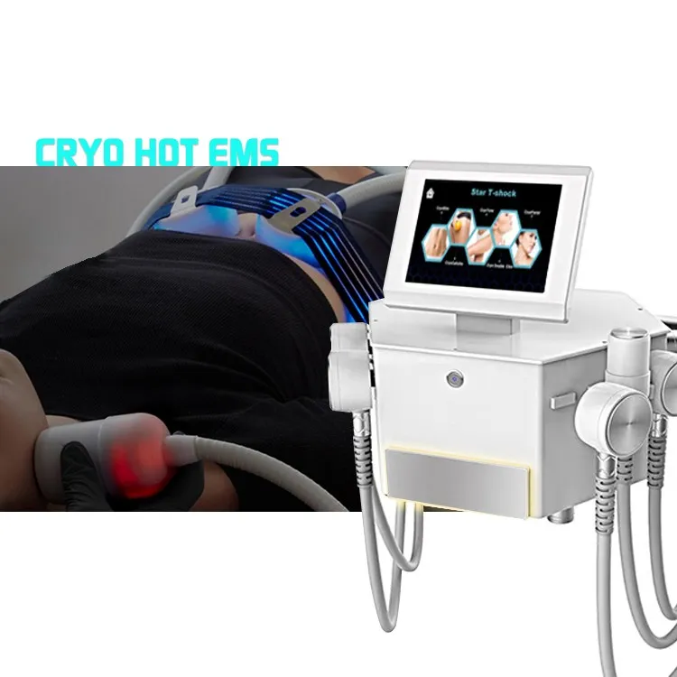 Wholesale Cryoskin Machine Factory